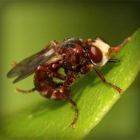 /album/la-casita-del-terror/photolia-a06-jpg/
