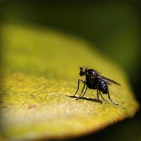 /album/la-casita-del-terror/photolia-a07-jpg/